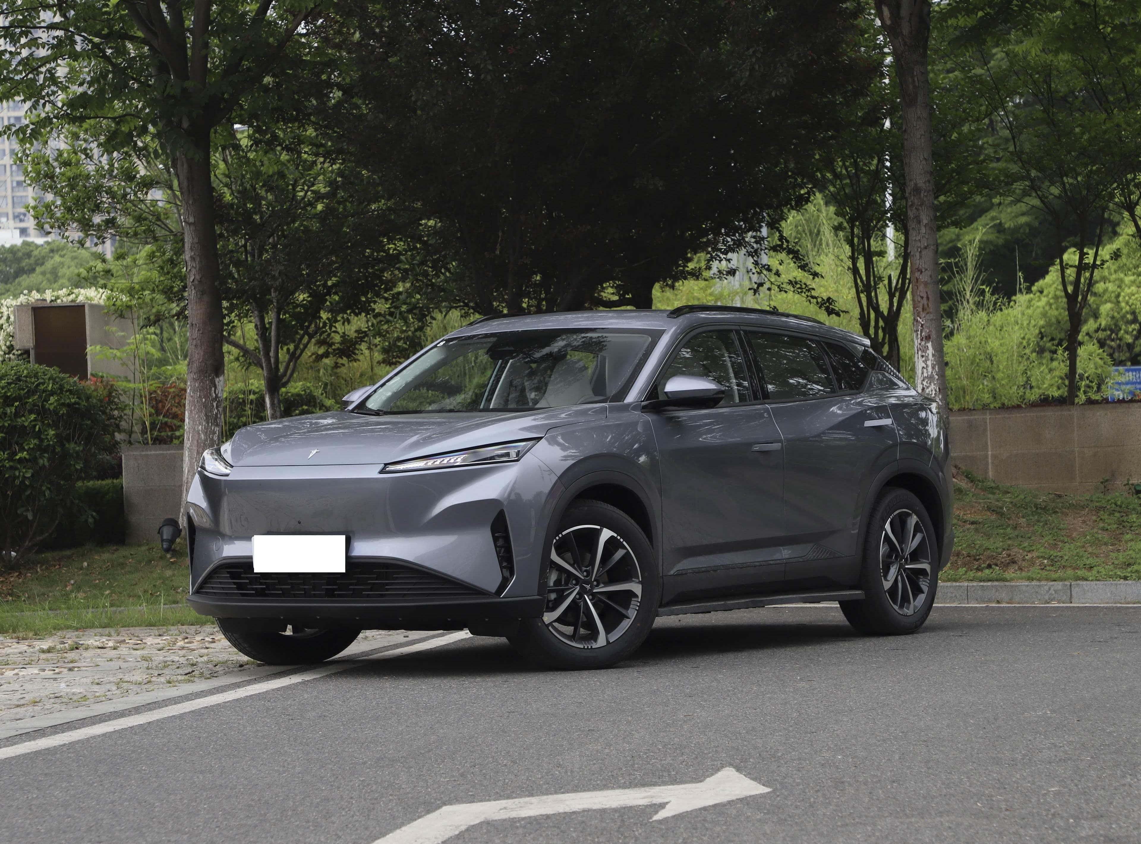 Dongfeng Shijie 06 front view