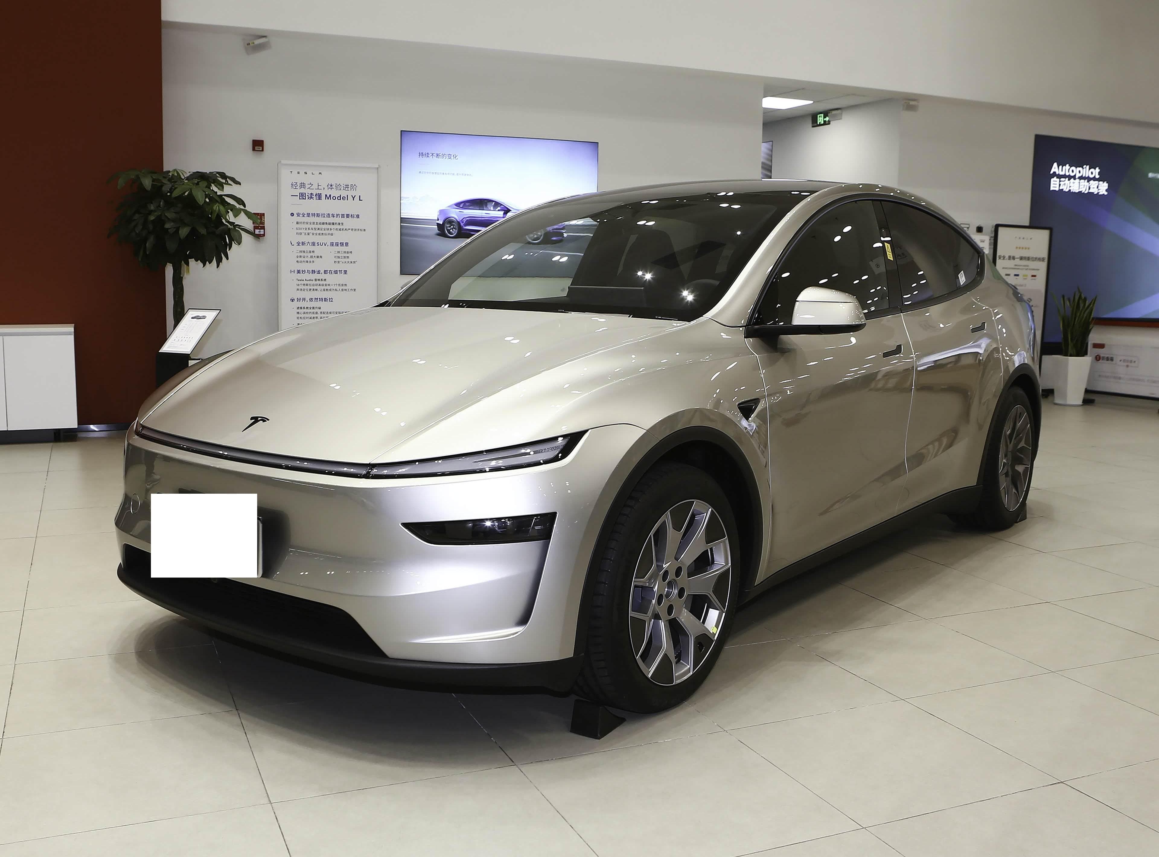 Tesla Model Y Long Range AWD